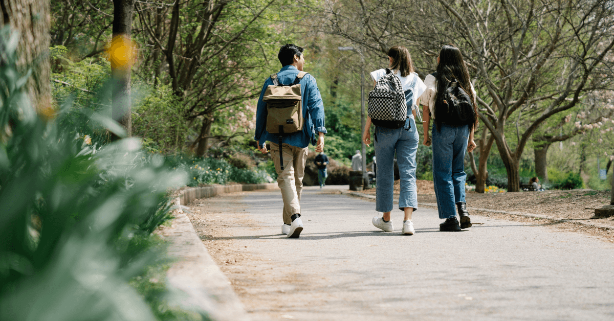 sonniger begrünter Park, drei Spaziergänger von hinten mit Rucksack
